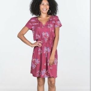 MATILDA JANE art class floral lightweight dress preppy flattering F25020